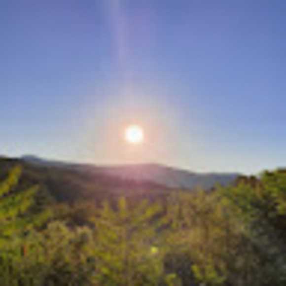 Meet your Posher, Dayna - Picture 1 of 1